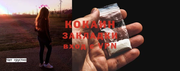 ешки Шали