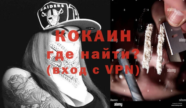 ешки Шали