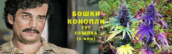 первитин Шадринск