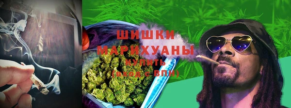 ешки Щигры