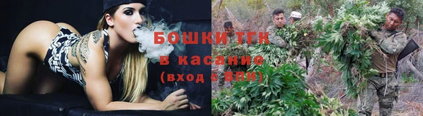 ешки Шали